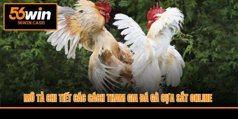 Mô tả chi tiết các cách tham gia đá gà cựa sắt online