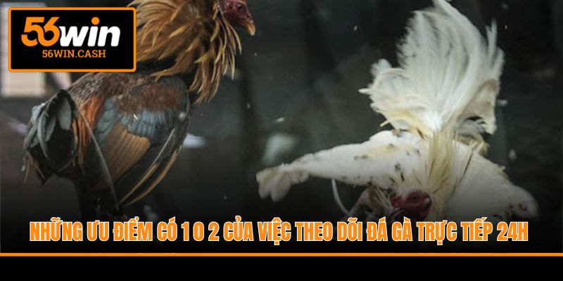 Những ưu điểm có 1 0 2 của việc theo dõi đá gà trực tiếp 24h